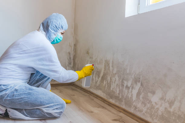 Mold inspector in Issue performing thermal imaging